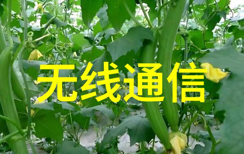 纸箱抗压机纸箱抗压测试机纸箱耐压试验机纸箱耐压测试机包装件压缩试验机微电脑纸箱耐压机