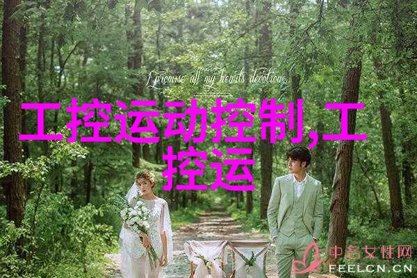 蜂王浆冷冻干燥机 冷冻干燥设备