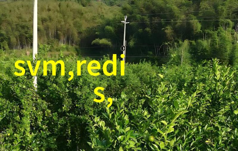 昆山防爆冰箱定制厂家 保鲜展示柜冰箱
